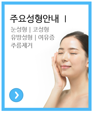 주요성형안내