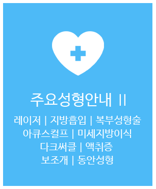 주요성형안내
